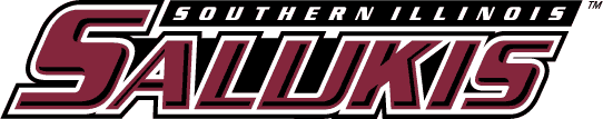 Southern Illinois Salukis 2001-Pres Wordmark Logo diy DTF decal sticker